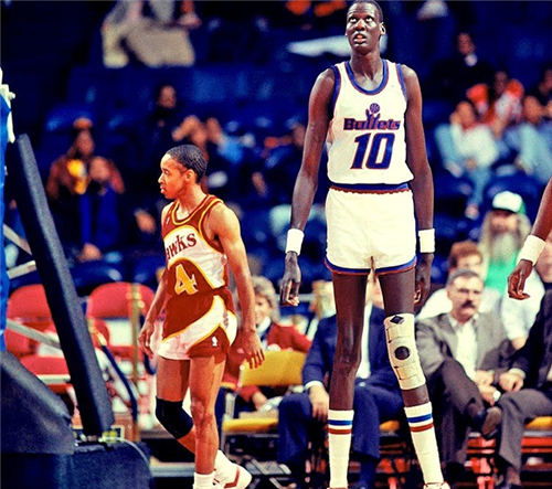 NBA 球员身高排名：巨人的联盟，高个子球员的天下